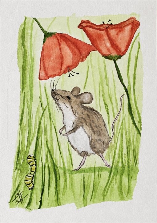 Watercolor illustration of a mouse standing beneath red poppies